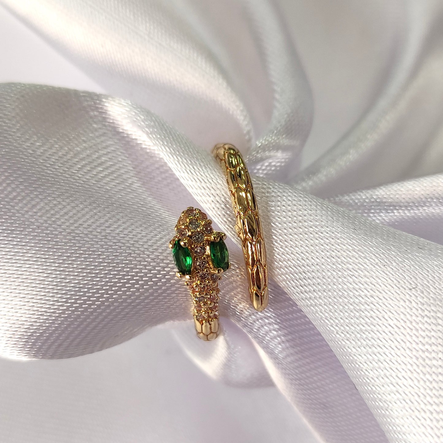 Anillo 23