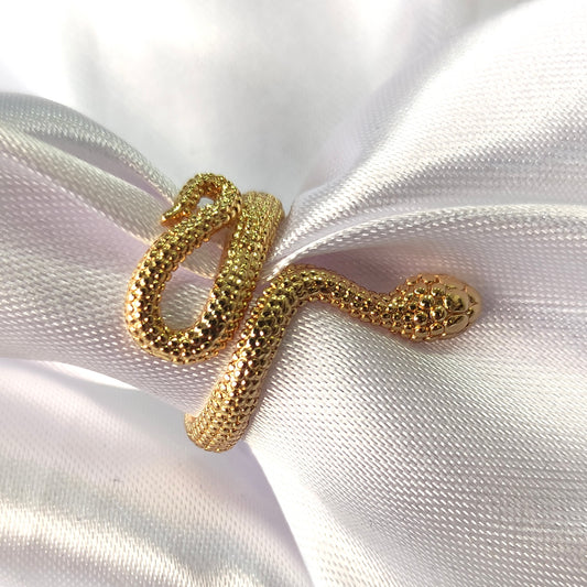 Anillo 35